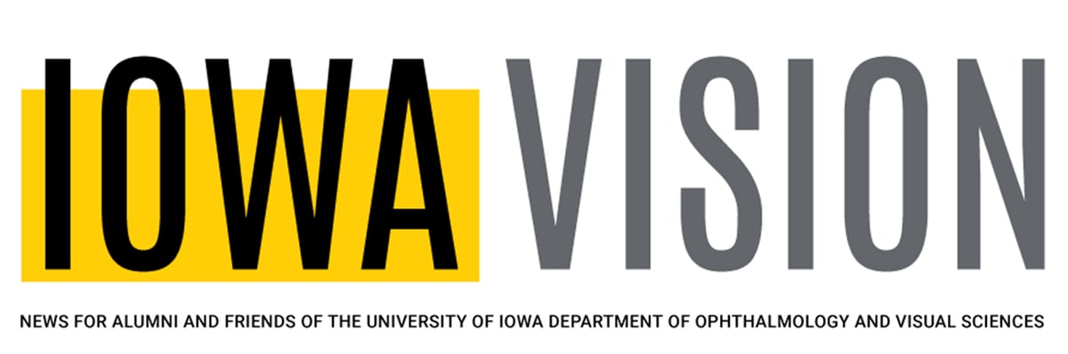 Iowa Vision banner